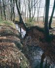 YNYS PIT AND LEAT