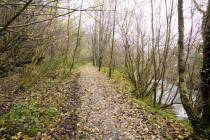 SWANSEA CANAL RAISED EMBANKMENT t CAE'R BONT