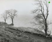 Cae Fadog, Capel Celyn, after demolition, 7 May...