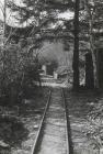 Railway tracks of the Llwyngwern quarry, which...