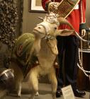 Goat Mascot of the Royal Regiment of Wales