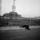 Trefechan Bridge Protest, 2 February 1963