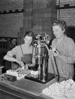 Ffatri Welsh Perfumery yn Abermo, 25 Rhagfyr 1953
