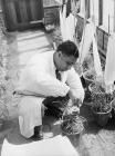 The Welsh Plant Breeding Station, Plas...