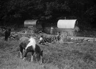 Gypsies camping, probably near Swansea, 1 July...