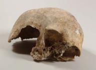 Part of human skull found at Pant-y-wennol cave...