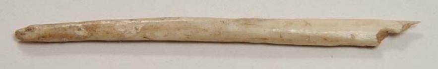 Bone needle found in Pant-y-wennol cave, Llandudno