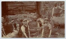 Dipping sheep in the river, Anglesey