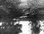 Medieval log boat discovered at Llandrindod...