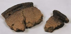 Pottery fragments from Sarn-y-Bryn-Caled, near...