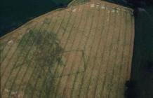 FORDEN GAER ROMAN SETTLEMENT