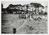 Haymaking in Friar's Park, Carmarthen. c....