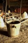 Bucket in a reconstructed roundhouse at Castell...