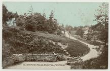 Chalybeate spring, Llandrindod Wells, 1900s
