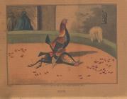 Cockfighting print, 'Death', 1825