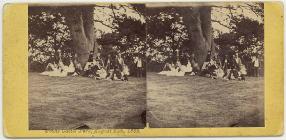 Visitors to Powis Castle park, 1863