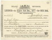 Dog licence, Presteigne, 1877