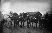 Photograph of horses (Poulson), c193?-??-??,...