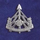 Cap badge of the 49th Reconnaissance Regiment,...