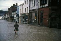 Llifogydd yn Y Drenewydd Rhagfyr 1960