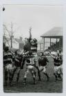 Llanelli lock and captain Delme Thomas leaps in...