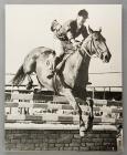 Sir Harry Llewellyn, Welsh equestrian champion,...