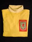 Wales international goalkeeper's shirt,...