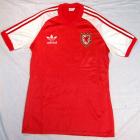 Welsh International Football Shirt - Ian Walsh