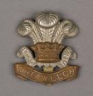 Badge of the Welch Regiment belonging to Bryn...