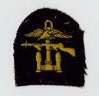 Insignia badge belonging to James T. Edwards