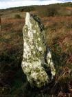 BWLCH FARM, STANDING STONE