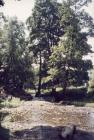 Llangollen. Stream