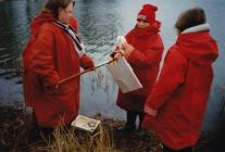 Pond dipping - science class, Casllwchwr County...