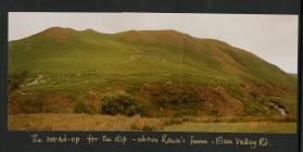 Rounding up the sheep above Tyllwyd