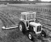 Tractor David Brown yn lladd gwair