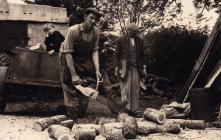 Cutting fire wood, Betws Farm, Nebo, Llanpumsaint