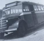 Caelloi coach