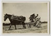 Making hay - Pengarn farm, Alltwalis