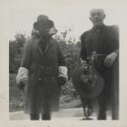 Bee-keeping in Dolwerdd 1960s