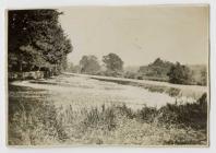 Newcastle Emlyn Falls c.1930