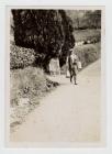 Milking at Dyffryn, Llanfihangel-ar-Arth 1940