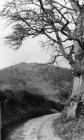 Llangollen. Dinas Bran