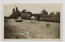 Animals arriving Cemmaes Road on the train for...