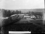 garden and glasshouses at Hafodunos, Llangernyw