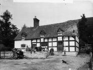 Davies Family, Llanfair (Caereinion?)