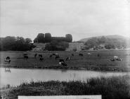 Rhuddlan castle