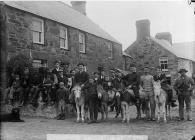 Donkey rides in Aberdaron