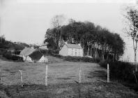 Bythynod, Llanynbydder