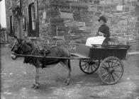 Mrs Oliver in a cart drawn by a donkey