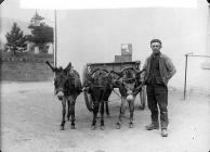 Llanfair carrier with his donkeys